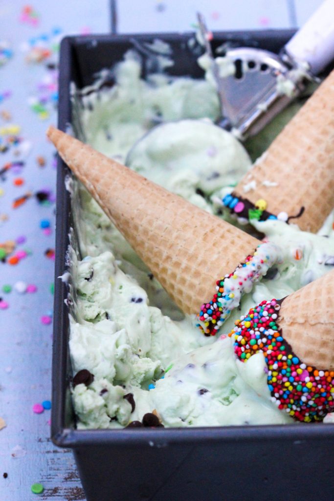 no-churn mint chocolate chip ice cream